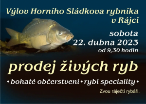 Výlov Holního Sládkova rybníka 1