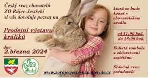 Prodejní výstava králíků 1