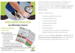 Wellness analýza  1
