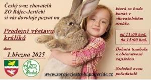 Prodejní výstava králíků 1